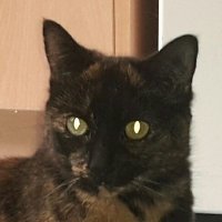 Colin (@colinjwright) 's Twitter Profile