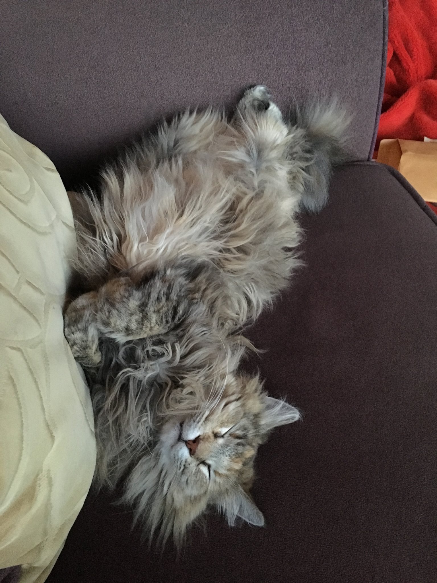 mcgeostl's profile picture. GIS Geek, Urban Farmer, Outdoors Enthusiast, Music Lover, StL Supporter. Views are my own.