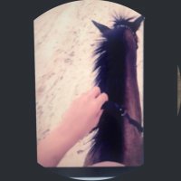 عليا الحناكي 🇸🇦 (@alya006) Twitter profile photo