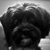 Willie95 (@9willie5) Twitter profile photo Willie95 (@9willie5) Twitter profile photo