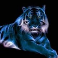tiger-tom73(@Tom73Tiger) 's Twitter Profile Photo