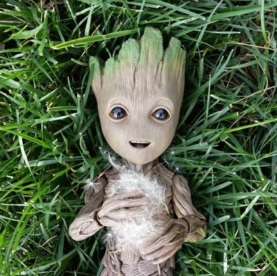 MyBabyGroot Profile Picture