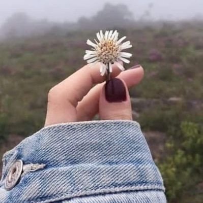 ‏القلب عراقي🇮🇶 ودقاتة فلسطينية🇵🇸