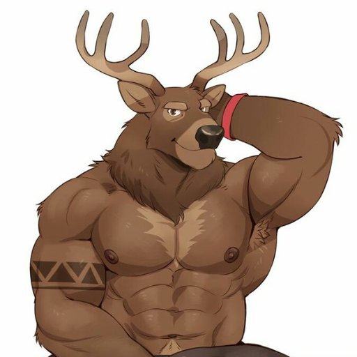 A nordish full-of-beef deer with a passion for hot stuff and occasional gambling in MtG. Pleased to meet you :3 NSFW
🎨 by @Adiosarts