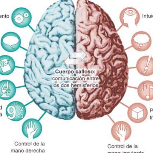 OSKIOSCARCER's profile picture. no boy  escribir mucho o casi nada estoy en mi vijaje   del erohe  a nivel prsrsonal  gracias  por motibos prseonales gracias  es un camino  hacia dentro  graci