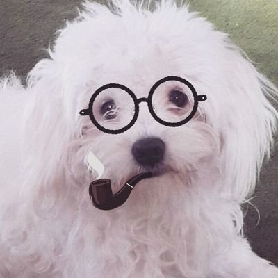 Kumo91136572's profile picture. 