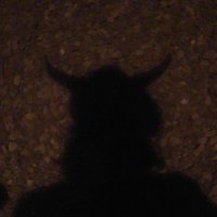 Ginjie_Here (@eclipseshadowxx) 's Twitter Profile