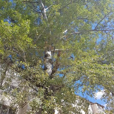 GakaevaRy's profile picture. 