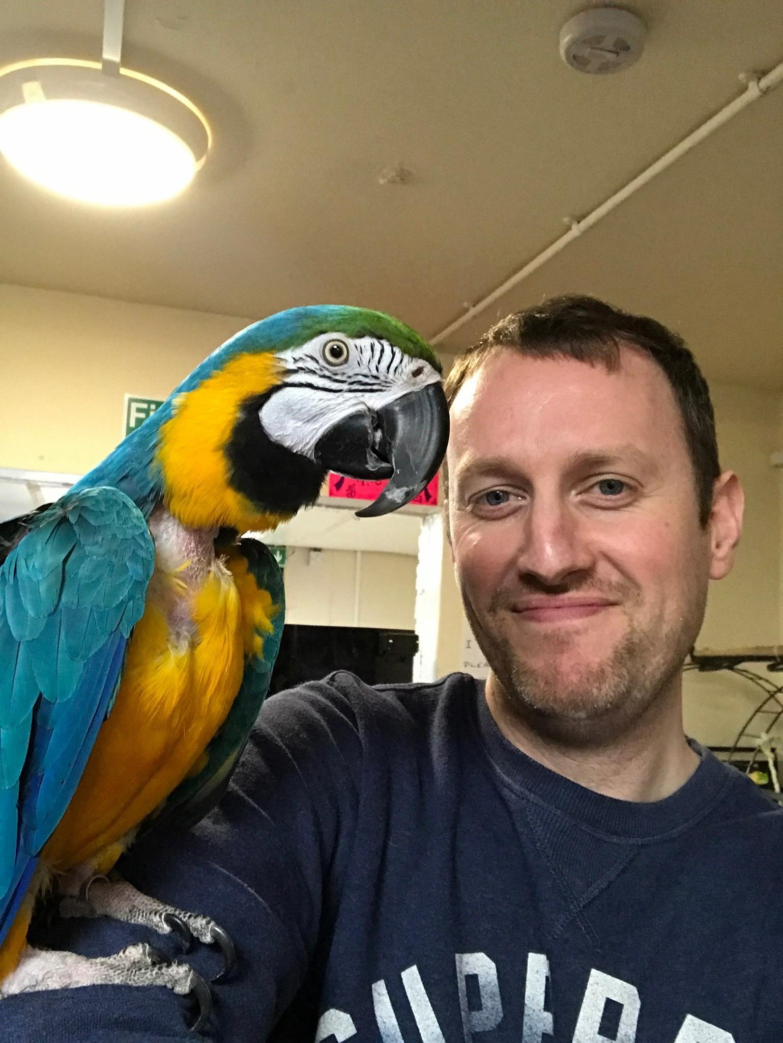 Petshop_Paul's profile picture. Pet shop owner and animal lover