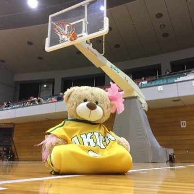 新入部員募集中⛹️‍♀️⛹️‍♀️ ブランクがあっても大丈夫🙆‍♀️大学から始めた先輩もいます🔰マネージャーも大歓迎です！！！医学科&保健学科で楽しく活動しています！練習時間は水曜日19:00-21:00、土曜日16:30-18:30です。質問等あれば、気軽にDMしてください💌