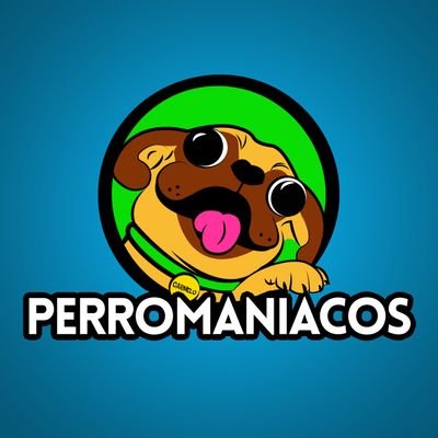 ¡Aprende con nuestros videos todo lo que necesitas saber sobre tu mascota! Síguenos también en Facebook @Perromaniacos