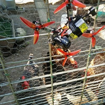 sonofaglitchfpv's profile picture. Freestyle FPV Pilot and YouTuber