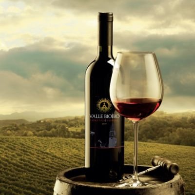 Asociación de viñateros (Yumbel - San Rosendo - Río Claro - Cabrero). Juntos dedicados a la producción y elaboración de vinos patrimoniales. #WINEOFCHILE 🇨🇱
