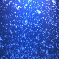 翠 (@yhyh_1210) Twitter profile photo