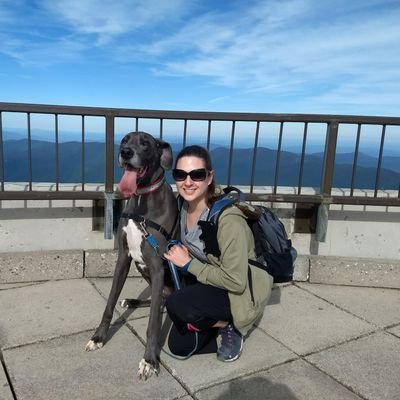 LizOffTask's profile picture. #maker and owner of many cats. We make things & DIY our old fixer upper. Still waiting for our HGTV show.