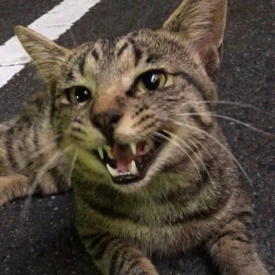 永遠の命は、小説にあり。