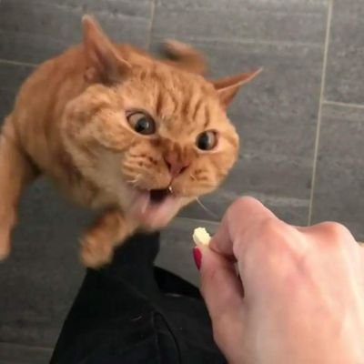 wmW0sBIRDHBfVir's profile picture. .