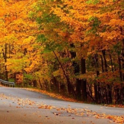 senazeynep0's profile picture. öylesine biri işte ... her telden