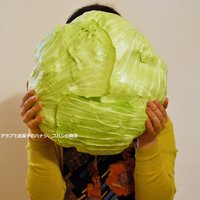 アラブでお菓子のハナシ、ゴハンの時間@はじめてのアラブごはん 発売中! (@arabfoodsweets) 's Twitter Profile Photo アラブでお菓子のハナシ、ゴハンの時間@はじめてのアラブごはん 発売中! (@arabfoodsweets) 's Twitter Profile Photo