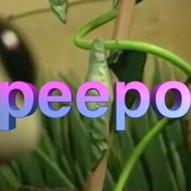 peepofan's profile picture. 