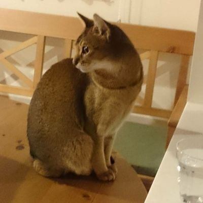 rinpai_syoukai's profile picture. 創業10年の人材派遣・人材紹介の会社です。(資本金2500万)
派13‐309600   紹13‐ﾕ‐305389

怪我などの急な欠員の際は
https://t.co/m5eOW8glna
臨配・代配を派遣します。身元確実・社保完・労災加入(週払い不要)

専業の紹介は
https://t.co/sqMDDuk7sF
常時募集広告を出し、年中無休で営業