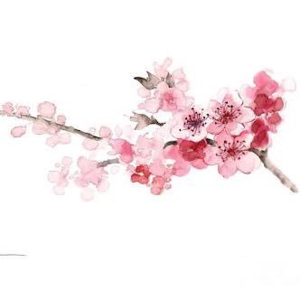 TrinhyyLe's profile picture. 