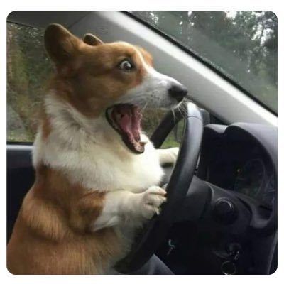 SexyCreativo's profile picture. Un Error Que Te Gustara Repetir, Si me vez Comeme, Consumeme con Responsabilidad.