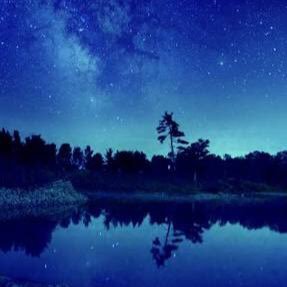 WHcH9oVxSqIb6k5's profile picture. 