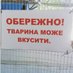 дуже красивий кіт (@oblibenyblb) Twitter profile photo дуже красивий кіт (@oblibenyblb) Twitter profile photo