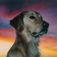 ecotoxdoc (@ecotoxdoc) 's Twitter Profile