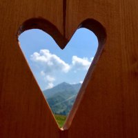 Wistitweet ⛰🌳🌲🏃♀️ (@sylviehendrick8) 's Twitter Profile