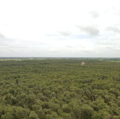 BinhNgu28791695's profile picture. contructing, installating M&E & CCTV SYSTEM