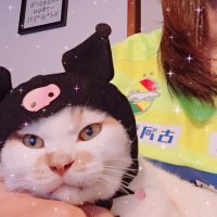 るーこ (@hamhamko1818) 's Twitter Profile