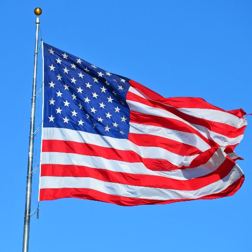 usamericanflag Profile Picture