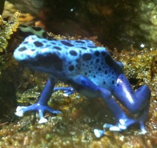 turd8's profile picture. 