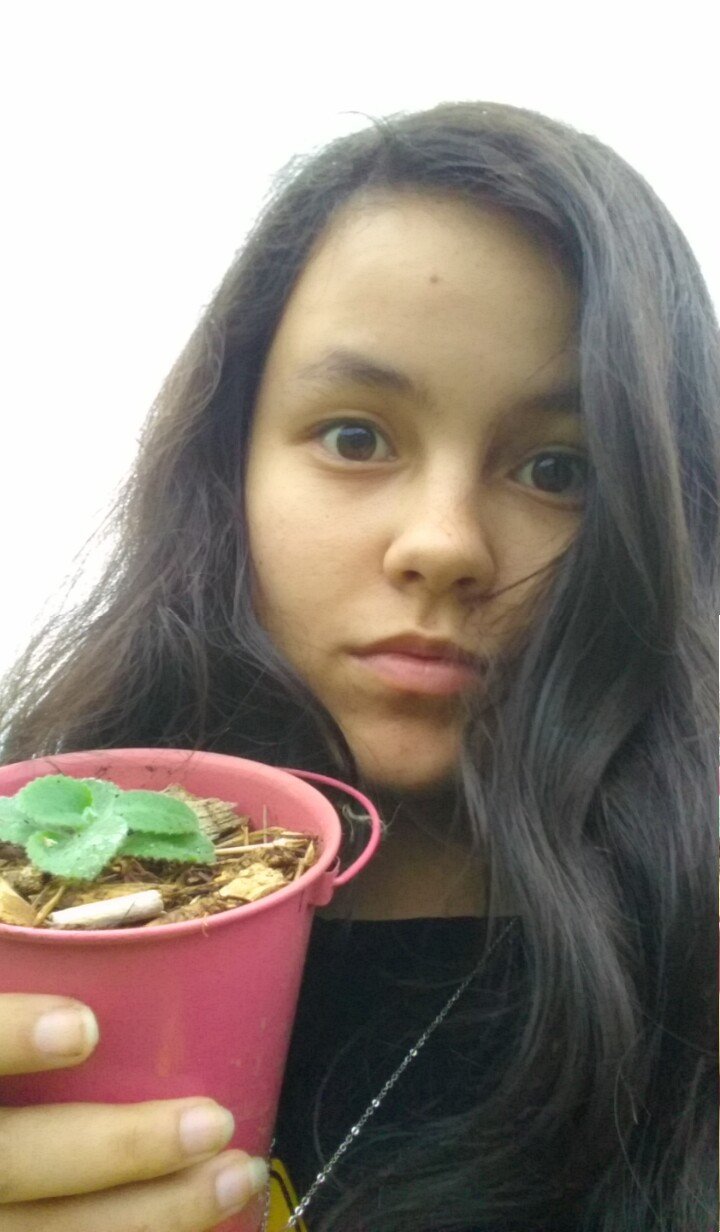17, Freelance Writer and Bookworm, Aspiring Author, Crazy Cat Lady!