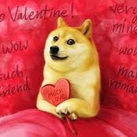 Doge_girl123 (@DogeGirl123) | Twitter