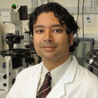 Srinivas Vourganti, MD(@vourganti) 's Twitter Profile Photo