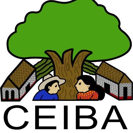 CEIBA promueve y acompaña procesos de empoderamiento local y grupos de base comunitaria y del movimiento social con pertinencia cultural y equidad.