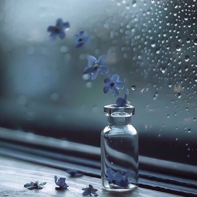 shwihena's profile picture. 