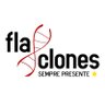 FlaClones's profile picture. Twitter da Fla-Clones. Sempre presente. Grupo de ST, socios proprietarios e Conselheiros do C.R.Flamengo (CODE)