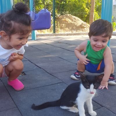 alikoyun33's profile picture. ...