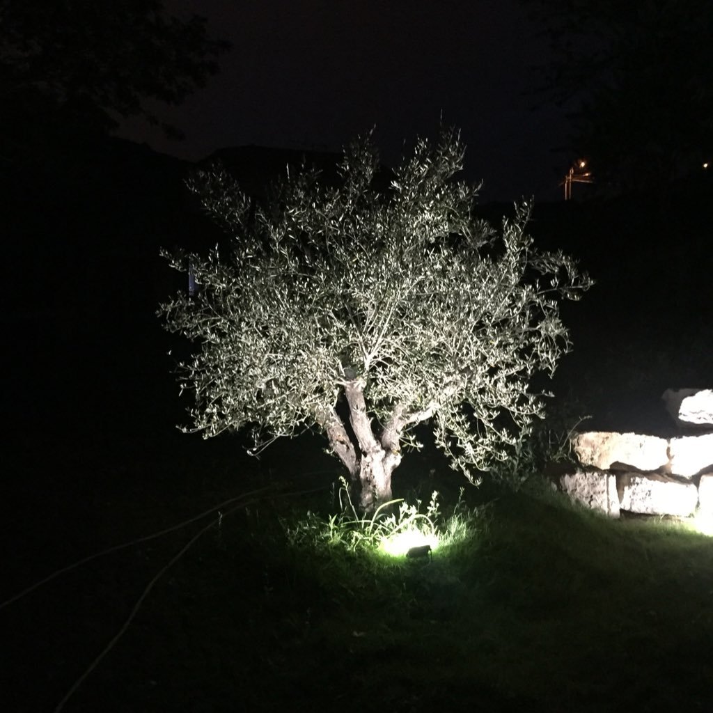 69006Christophe's profile picture. promoteur immobilier en Rhône-Alpes.