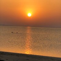 المتفائله بالله (@jalelhsafer) 's Twitter Profile
