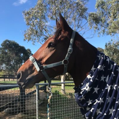 Prospectss's profile picture. 💖family, Carlton member, Racing participant.