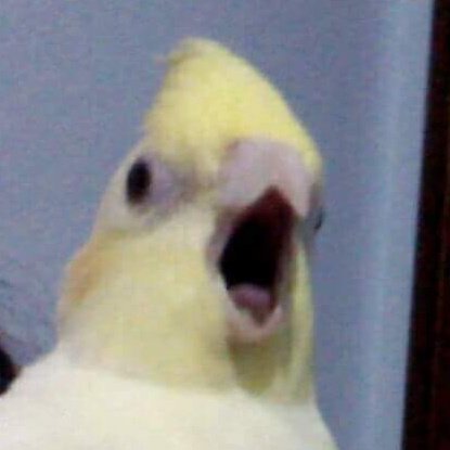 Tkomas1's profile picture. 