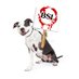 UKagainstBSL (@endbslinuk) Twitter profile photo UKagainstBSL (@endbslinuk) Twitter profile photo