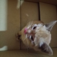 Bewildered Herd of One e/acc (@bewilderedherd1) 's Twitter Profile