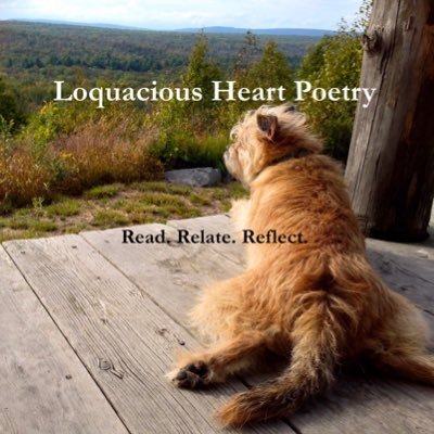 loquaciousheart Profile Picture