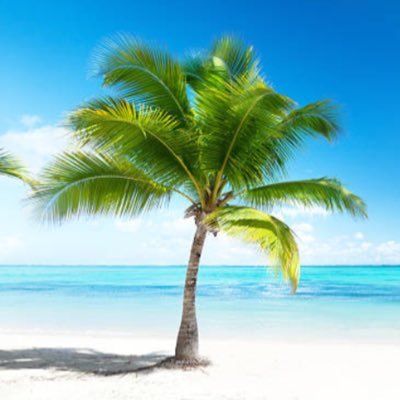 Ebethglove's profile picture. 